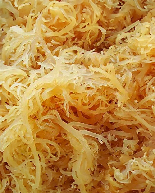Irish Sea Moss