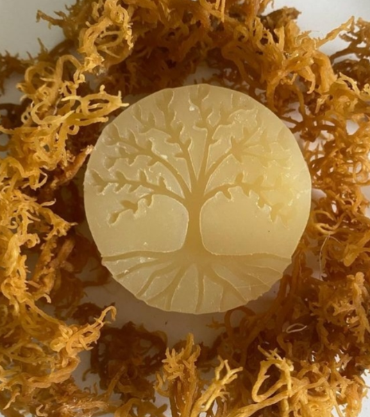 Organic Irish Sea Moss Soap