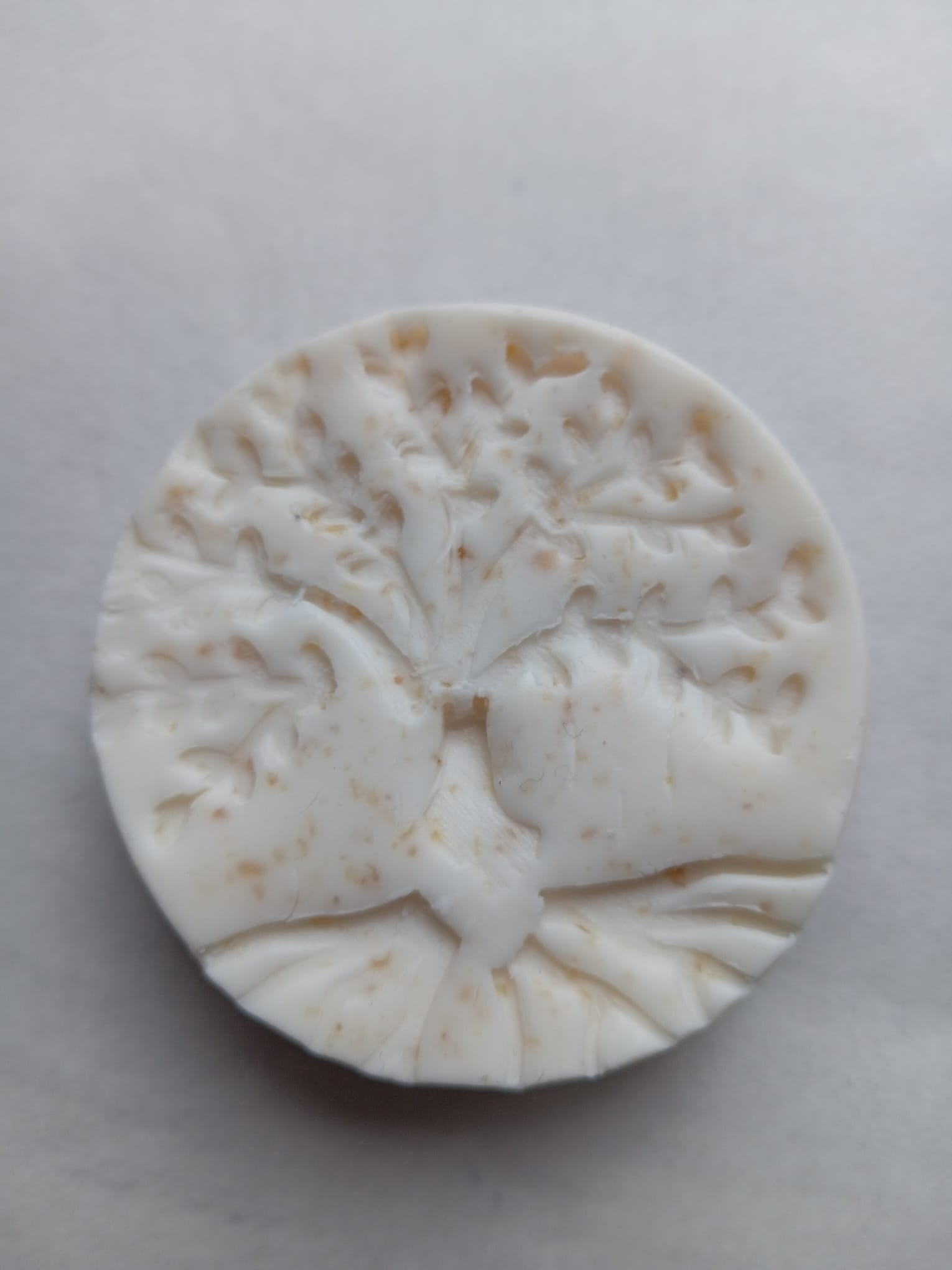 Oatmeal & Shea Butter & Irish Sea Moss Soap